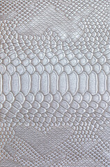 Beautiful white bright python skin, reptile skin texture, snake skin close-up as a background.