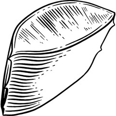 Hand drawn Aloe Vera Leaves Sketch Illustration