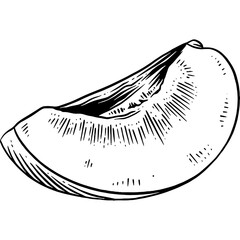 Hand drawn Apricot Slice