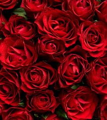 Texture background of red roses flowers