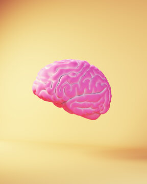 Pink Blue Brain human Medical Neurology Anatomy Thinking Mind Intelligence Idea Concept with Yellow Beige Background 3d illustration render