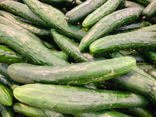 Fresh cucumbers for sale, background image.