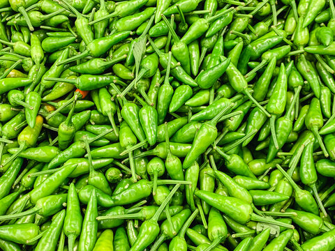 Malaysia's green cili padi or bird&rsquo;s eye chili.