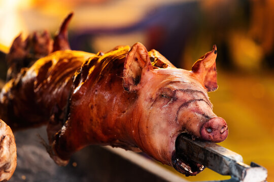 Whole pig spit roasted on traditional festival in Serbia