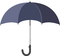 Classic black umbrella