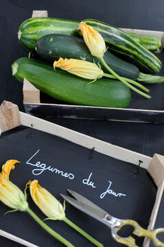 Crates with zucchinis and blooming flowers