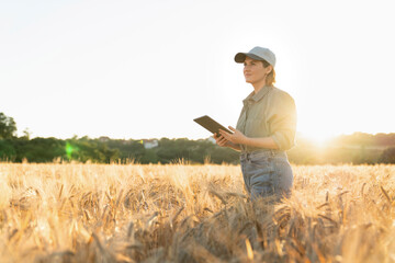 Woman standing with digital tablet in field at sunset