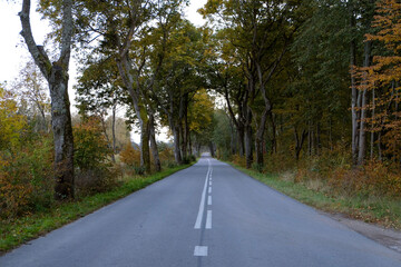 Road 528 near Milakowo - Poland.