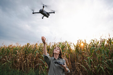 Woman with remote control operating drone in maize field