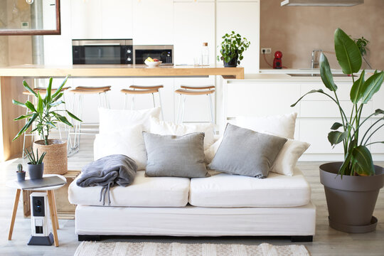 Sofa And Potted Plants In Living Room At Home