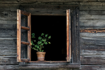 old wooden hut with flowers