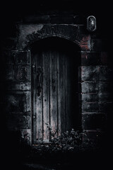 Old gothic door