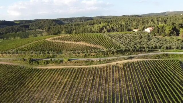 Video aereo con drone su campagna vigneto in vendemmia toscana
