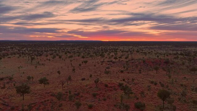 Flying across a stunning red desert in full bloom towards a fire red sunrise