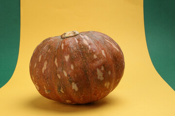 Small brown whole fresh ripe pumpkin on yellow green background