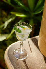 Summer healthy lemonade, cocktail of citrus infused water or mojitos, with lime lemon, ice and mint, diet detox beverage in glass with house plants on background