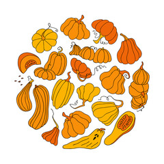 Cute autumn vector illustration, hand drawn pumpkins