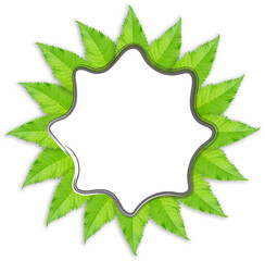 Fototapeta na wymiar Illustration of leaves on a white background. Beautiful leaf design and copy space. natural pattern. An octagonal white space in the center of the image. and tropical green leaves border