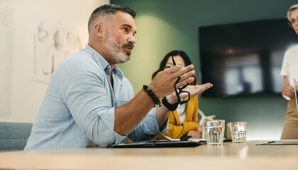 Mature businessman having a discussion with his colleagues