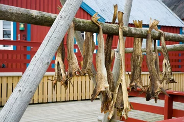 Fototapete Rund Drying cod fish in A village, Lofoten, Norway © Mariusz Świtulski