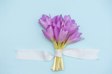 Bouquet of beautiful flowers tied with a white ribbon on a blue background