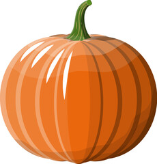 Orange pumpkin vegetable.