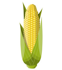 Obraz premium Corncobs with yellow corns and green leaves.