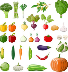 Various vegetables set
