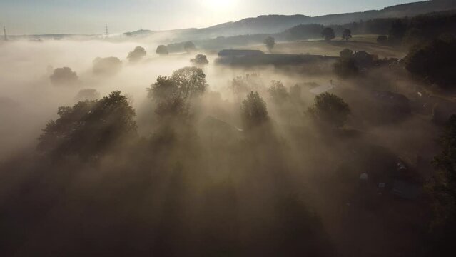 Fog in the valley of the Belgian Ardennes near Chevron, Li&egrave;ge. Aerial