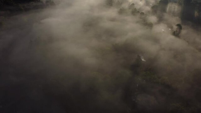 Fog in the valley of the Belgian Ardennes near Chevron, Li&egrave;ge. Aerial