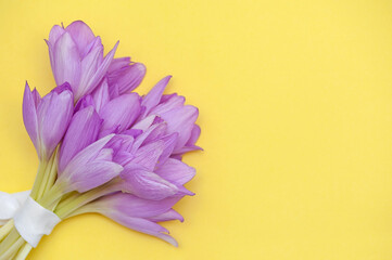 Minimalistic floral background. Bouquet of purple flowers on a yellow background