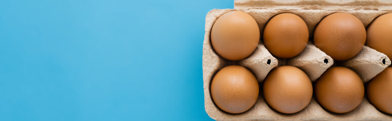 Top view of brown chicken eggs in carton package isolated on blue, banner.
