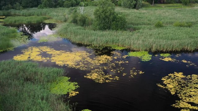 Swamp marshy corners of Saimaa lake Finland aerial