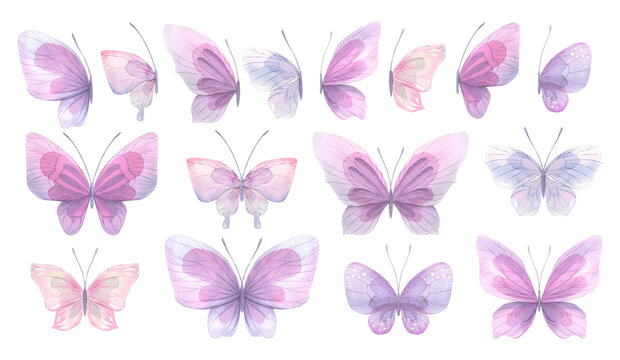 A large set of pink, purple, delicate butterflies are on the side and on top. Watercolor illustration. For the design and composition of postcards., invitations to wedding and romantic parties