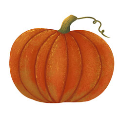 Large dark orange hand drawn pumpkin on a white background