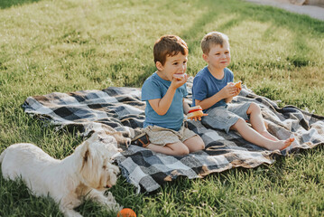 Two boys sit on a blanket and eat sandwiches in the backyard.
