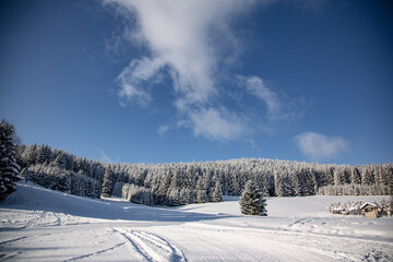 Zimowy pejzaż  ze stokiem narciarskim - obrazy, fototapety, plakaty