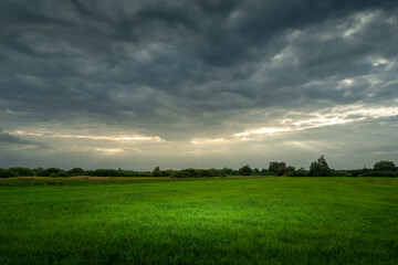 Lumen of sunlight on a cloudy sky and a green meadow