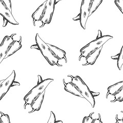 seamless black and white pattern with chili peppers, hand drawing, hatching