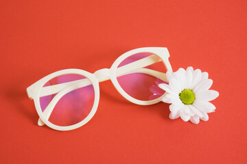 beige plastic trendy eyeglasses and chrysanthemum on bright red background