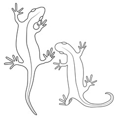 Set of lizards reptile gecko outline vector illustration. Simple line art illustration isolated on white background. Template for books, stickers, posters, cards, clothes.