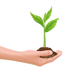 Hand holding seedling growing from fertile ground. On white background and sunlight. Environmental protection and eco earth day concept. Realistic 3D vector EPS10 illustration.