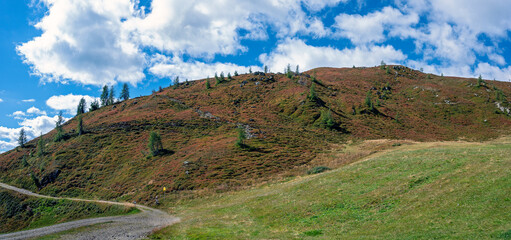 hillside with red lingonberry shrubs and green pasture on an alp at late summer on the mountain...