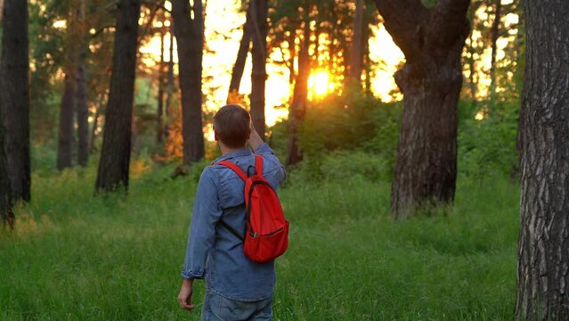 Tourist with backpack make photos and shoot video on phone in summer forest at sunset. Travel, hike, nature