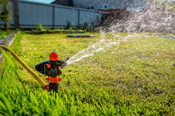 Automatic Garden Lawn sprinkler in action watering grass. - obrazy, fototapety, plakaty