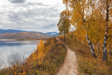 Naklejka premium Baikal Lake in September. A path along the coast through a beautiful autumn forest with yellowed trees and fallen leaves to Shamansky Cape near the village of Slyudyanka. Autumn travel and outdoors