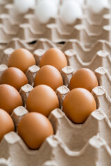 Organic fresh chicken eggs in carton tray.