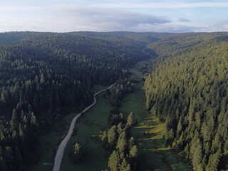 plateau and forest
