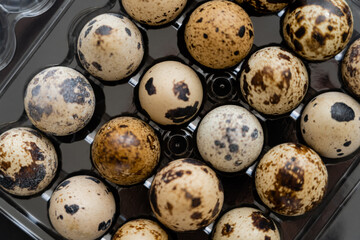 Obraz premium Top view of natural quail eggs in plastic box.