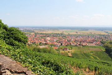 View on the village of Kintzheim from the Vosges Alsace Grand Est France